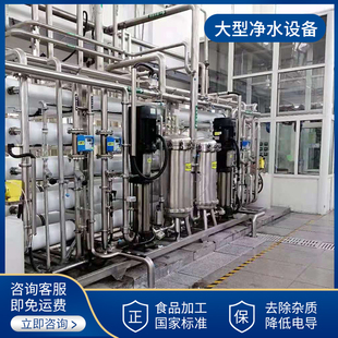 大型工业商用RO反渗透设备净化水质过滤器去离子脱盐纯净水制取机