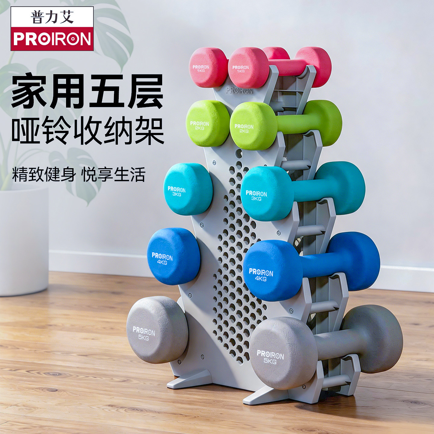 PROIRON/普力艾家用哑铃收纳架小型哑铃架托小架专业健身套装
