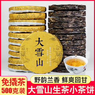 大雪山普洱茶生茶500g散装云南临沧茶叶早春茶口粮茶迷你小圆饼茶