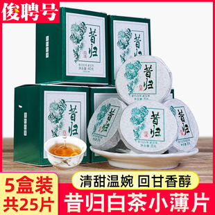 2023年新茶5盒装共25片昔归白茶迷你小茶饼临沧早春茶叶云南白茶