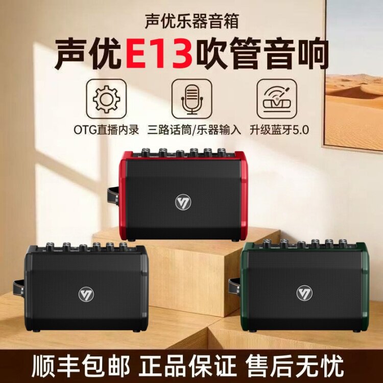 新款声优E13电吹管便携式移动音箱乐器蓝牙户外专用手提二胡音响