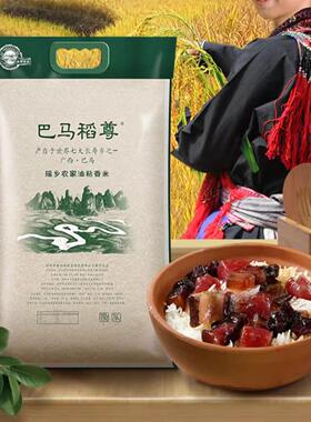 24年新米长寿之乡 巴马稻尊 瑶乡农家油粘香米香糯Q弹有嚼劲10斤