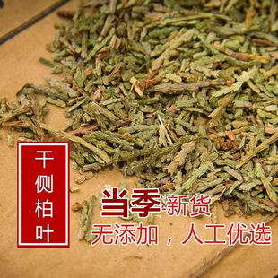 山东野生干侧柏叶5斤扁柏叶柏树叶侧柏粉丛柏树鲜侧柏叶洗发包邮