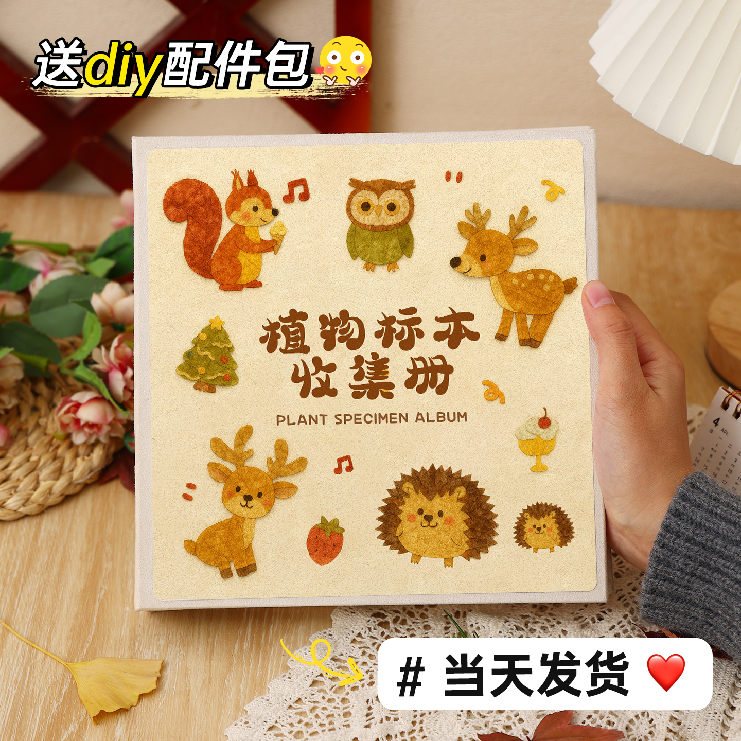 植物标本旅行纪念册收藏