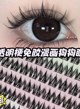 透明梗大容量100簇免胶假睫毛