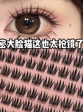 千野免胶免胶8排大脸猫小公主单簇分段式自然根根分明小恶魔