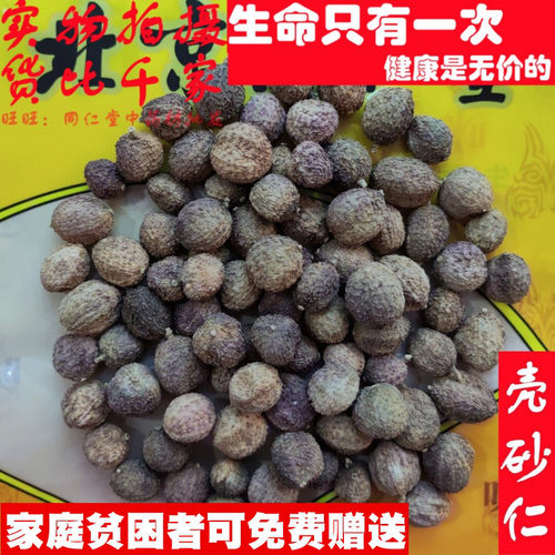50克 壳砂仁阳春壳砂 可打粉 中药材同品质精选