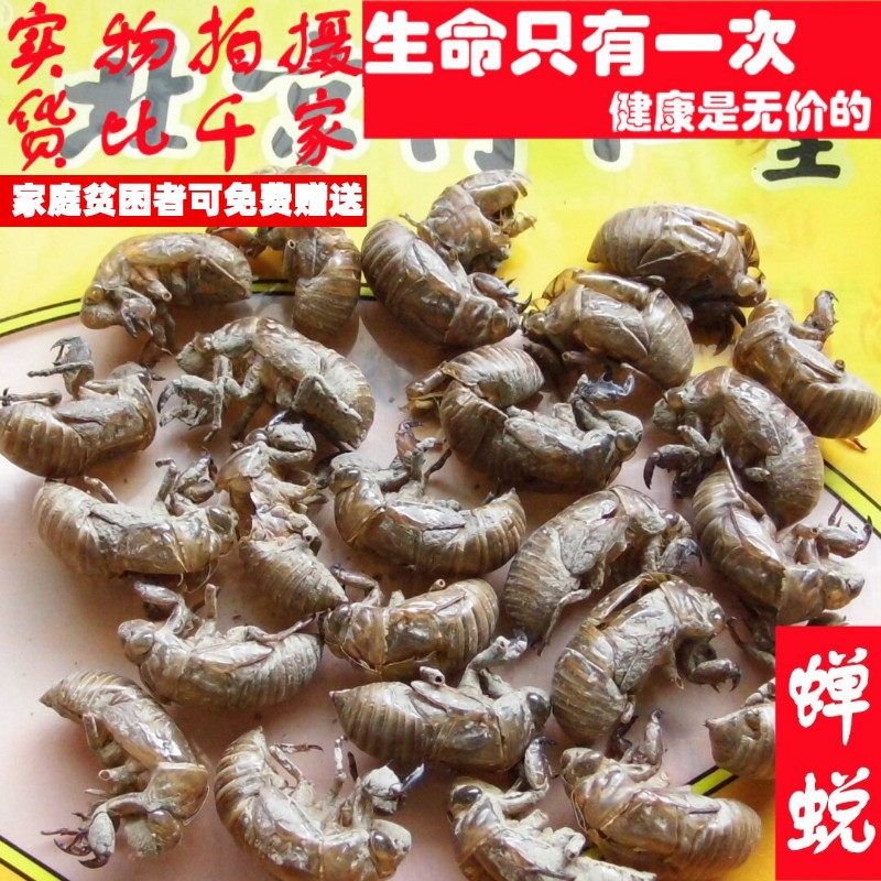 50克蝉蜕虫退知了皮蝉衣可代打粉非中药材品质精选求职业放过