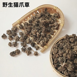 精选正宗纯野生猫爪草水洗无硫中药材新鲜小粒猫爪草50g干货包邮