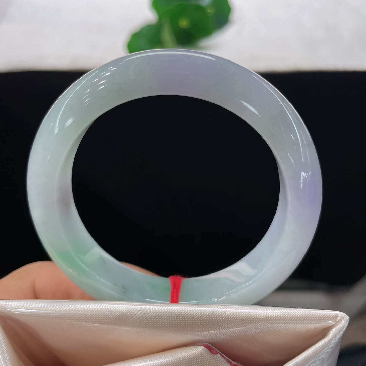 天然翡翠春彩手镯乳白飘花51.8