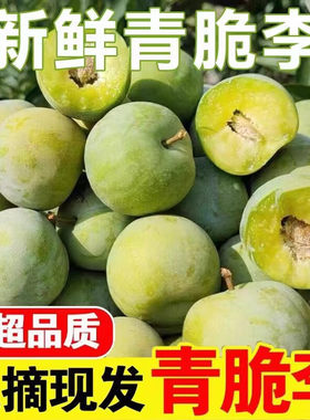 四川汶川脱骨李子新鲜孕妇水果眉山甜翠李当季整箱应季空心青脆李