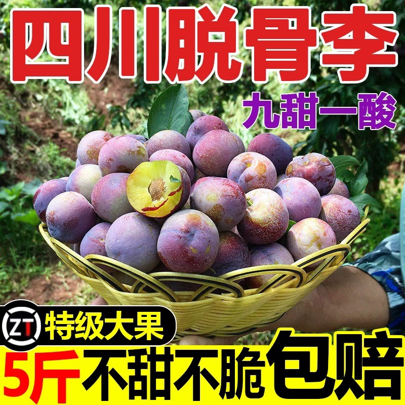 汶川红脆李脱骨李子新鲜孕妇水果眉山四川甜翠李5整箱应季空心