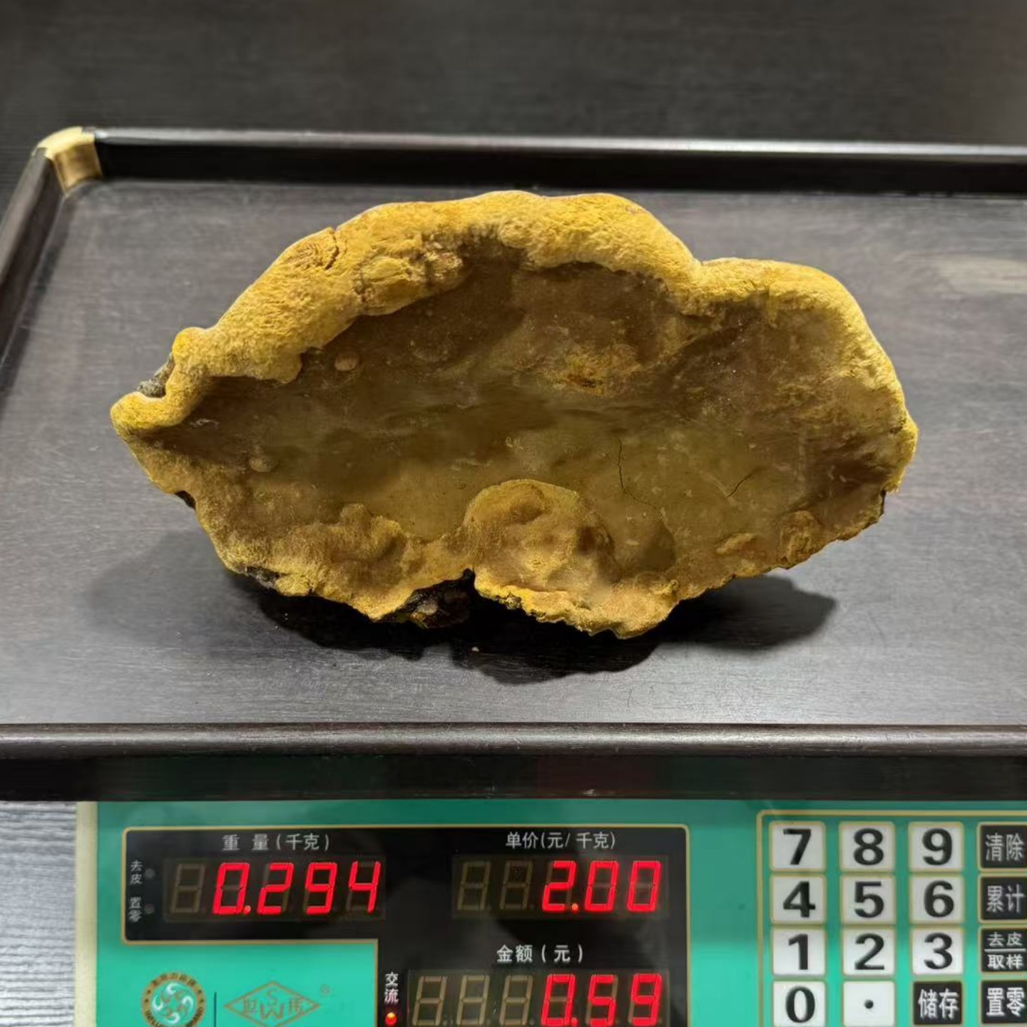 西藏野生桑树桑黄灵芝