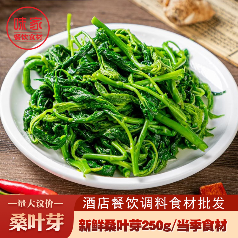 桑叶芽新鲜桑叶上汤桑叶菜食用嫩桑叶尖酒店餐饮冷冻半成品食材