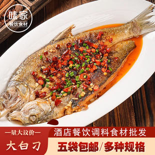 食中天大白鱼大白刁翘嘴鱼新鲜冷冻阳干餐饮酒店冷冻半成品食材