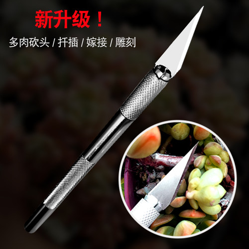 【品质推荐】多肉植物砍头刀切刀