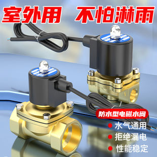 全铜24V户外防水4分电磁水阀2分室外可用3分进出水电磁控制阀220V