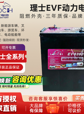 LEOCH理士蓄电池EV6390/EV6312曲臂车6V225A观光车环卫车电池专用
