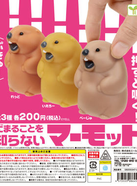 虾壳社 现货日本YELL扭蛋 尖叫的土拨鼠 再贩捏捏 动物 玩具 解压