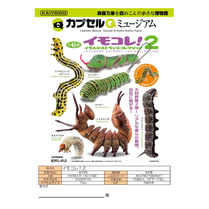 虾壳社 定金日本KAIYODO扭蛋 昆虫摆件 第二弹 仿真 凤蝶 蛾 幼虫