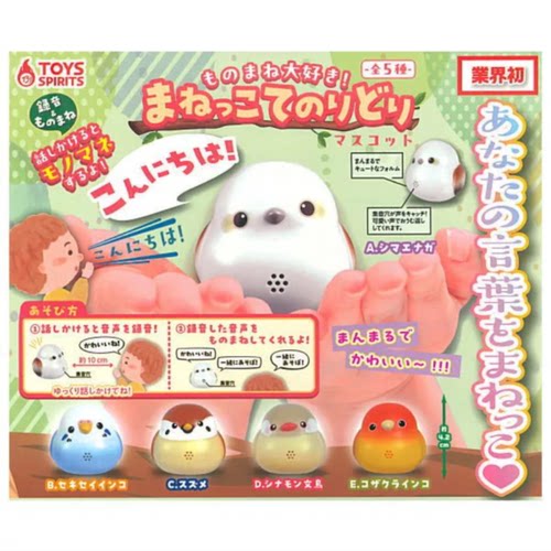 虾壳社 现货日本TOYS SPIRITS扭蛋 小鸟啾发声摆件 可爱 白文鸟