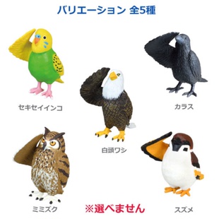 虾壳社 现货日本正版Yell盒蛋 盲盒敬礼系列 动物模型摆件 敬礼鸟