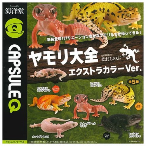 虾壳社 现货日本KAIYODO扭蛋 海洋堂 守宫大全 异色系列 爬宠摆件