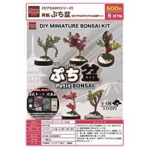 虾壳社 现货日本BEAM扭蛋 DIY自制迷你盆栽 摆件 盆景 场景 再贩