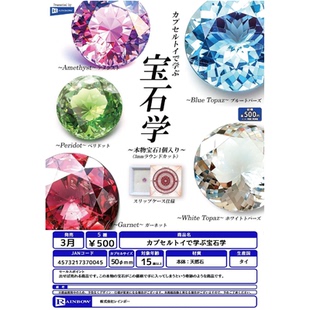 虾壳社 现货日本RAINBOW扭蛋 宝石学 仿真 学习道具 玩具迷你钻石
