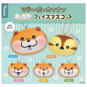 虾壳社 可爱吊坠 大头毛绒挂件 现货日本PARADE扭蛋 可爱谎言水獭