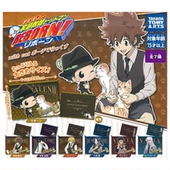 现货日本T REBORN ARTS扭蛋 虾壳社 家庭教师 Hitman 附小袋 收纳