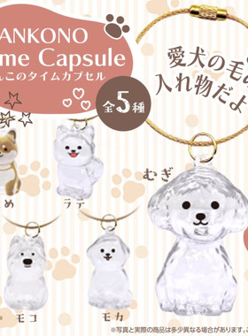 虾壳社 现货日本BEAM扭蛋 透明狗狗挂件 宠物时间胶囊 吊坠 纪念