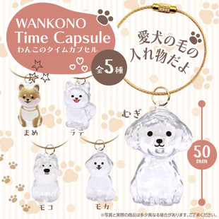 虾壳社 现货日本BEAM扭蛋 透明狗狗挂件 宠物时间胶囊 吊坠 纪念