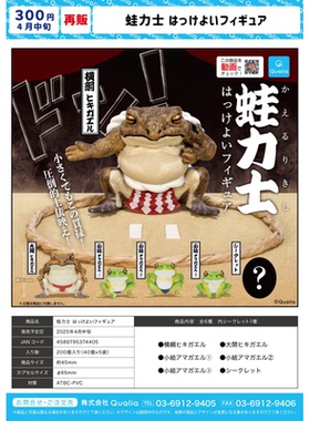 虾壳社 现货日本QUALIA扭蛋 相扑青蛙 再贩蛙类 模型摆件盲盒手办