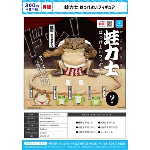 虾壳社 现货日本QUALIA扭蛋 相扑青蛙 再贩蛙类 模型摆件盲盒手办