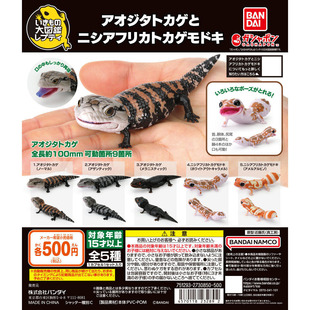虾壳社 现货日本BANDAI扭蛋 万代 生物大图鉴 蓝舌蜥蜴和 半蜥蜴