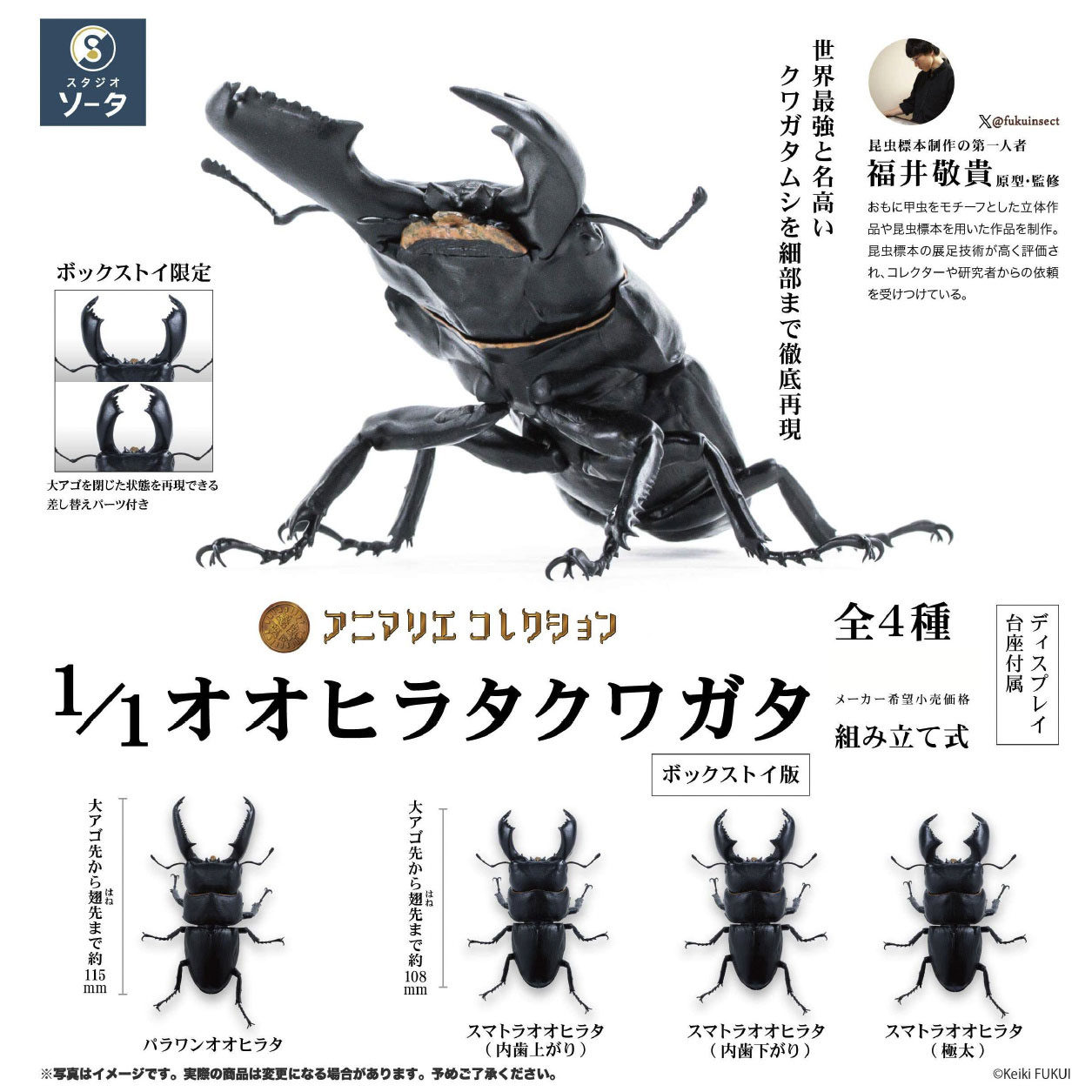 虾壳社 现货日本SO-TA盲盒 锯锹形虫 牙齿昆虫 百科 微缩仿真摆件
