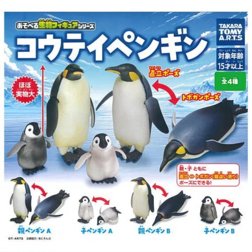 虾壳社 现货日本T-ARTS扭蛋 多美卡 超可爱帝企鹅 南极 生物 摆件