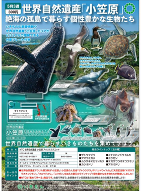 虾壳社 现货日本IKIMON扭蛋  NTC 世界自然遗产 小笠原 可立 挂件