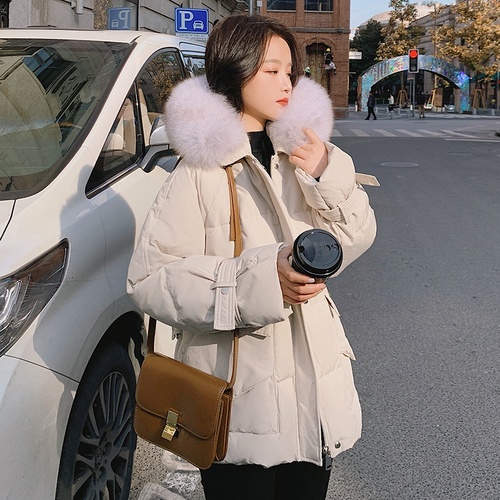 浙宝105 ZB105105-W1688 浙宝105 ZB105105-W1688