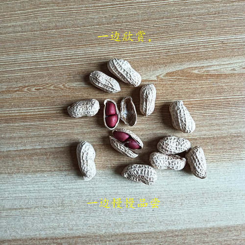 欣赏山里农家自己红皮花生250克