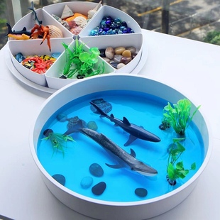 sensoryplaytray感官盆六分格蒙氏早教感官盘瑞吉欧儿童游戏玩具