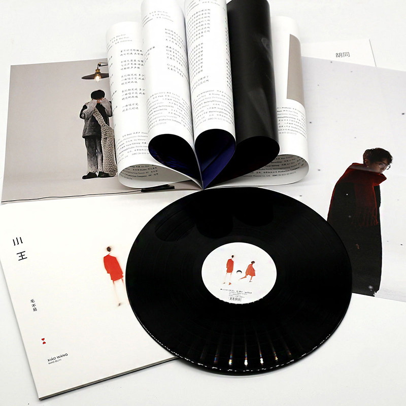 MAO BUYIS ORDINARY DAY PEOPLE LIKE ME 2LP XIAO WANG LP 비닐 레코드 + 개인 포스터 포함