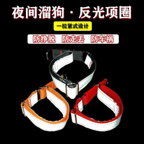 鲁泗天鹰灵缇细狗惠比特狗项圈