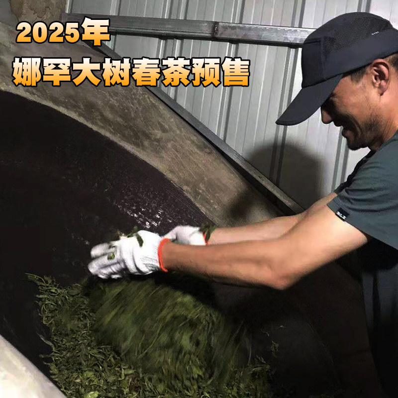2025年春茶预售云南普洱茶生茶散茶 昔归片区娜罕大树 500克散装