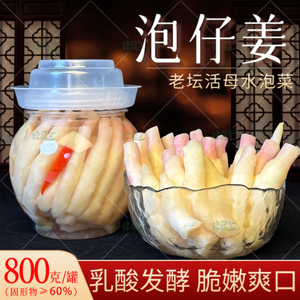 泡仔姜嫩姜800克罐装即食四川泡菜特产重庆泡生姜芽老坛酸辣开胃