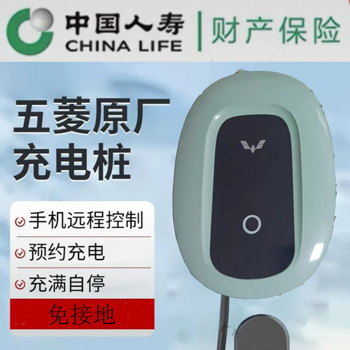 5米免接地五菱宏光充电桩缤果五菱之光充电器五菱扬光充电桩荣光