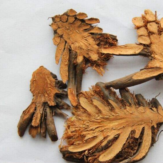 绵马贯众 5斤包邮 贯节 贯渠 百头 500g克20元 中药材初级农产品