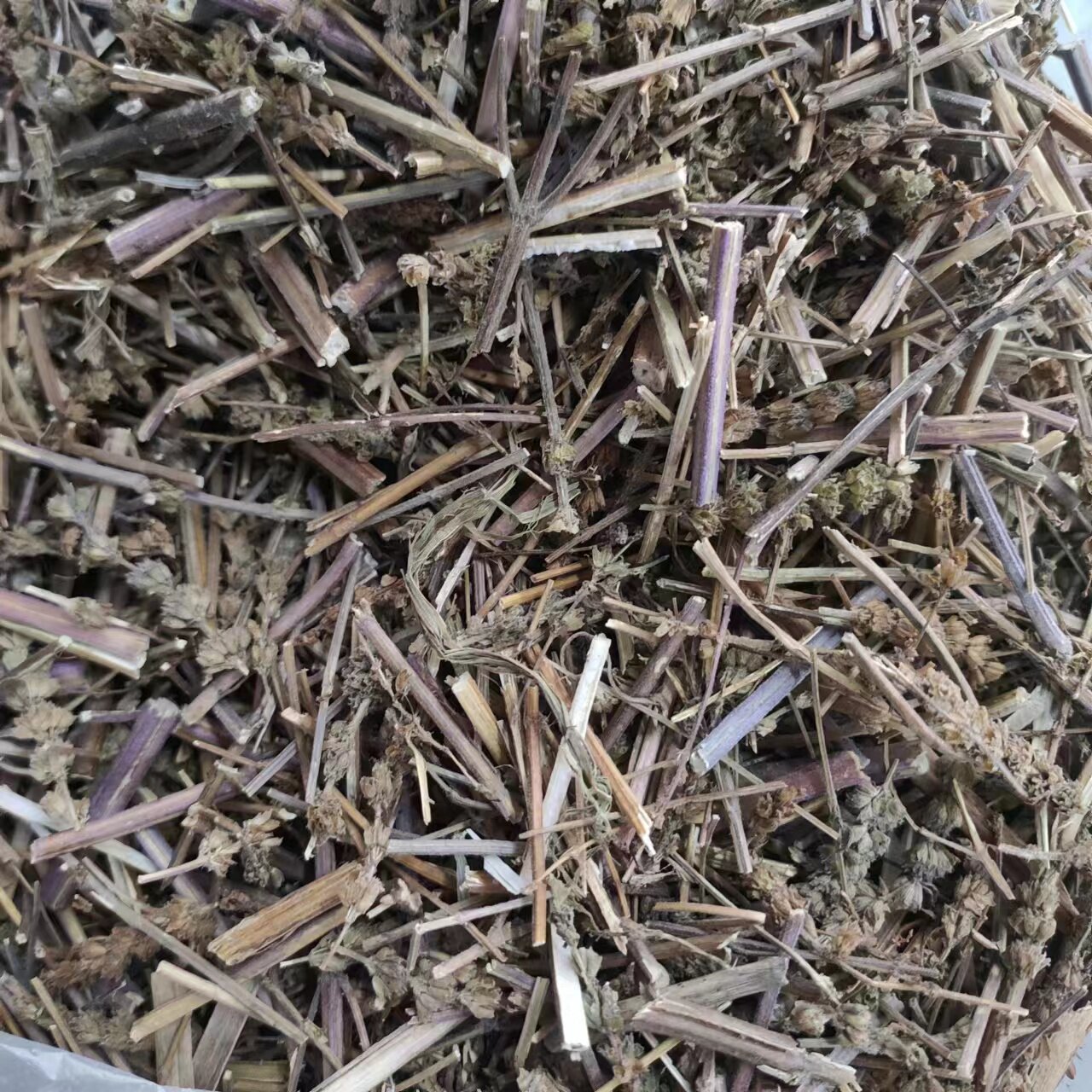 荆芥 拍3斤包邮 土荆芥荆介 香荆荠 荆芥穗带穗野生500g克中药材