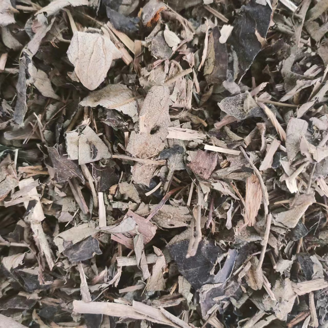 山麻甲 拍3斤包邮 山芝麻 500g克 中药材初级农产品